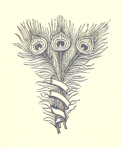 An illustration from The Red Rag. A novel, 1881, leaf 225