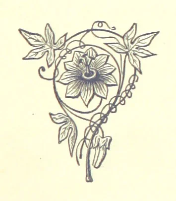 An illustration from The Red Rag. A novel, 1881, leaf 57