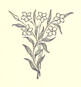 An illustration from The Red Rag. A novel, 1881, leaf 91