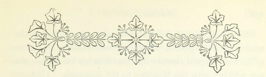 An illustration from Maidenhood; or, the Verge of the Stream, 1876, leaf 163
