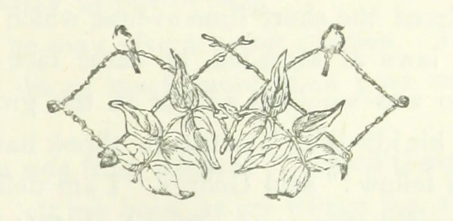 An illustration from Maidenhood; or, the Verge of the Stream, 1876, leaf 423