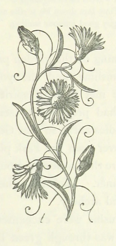 An illustration from Maidenhood; or, the Verge of the Stream, 1876, leaf 75