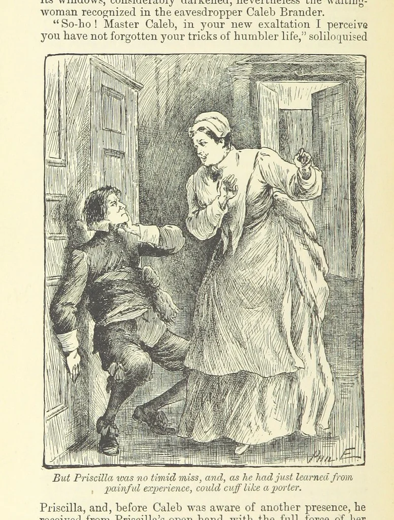 An illustration from Through my Heart first. [A novel.] With ... illustrations, etc, 1888, leaf 114