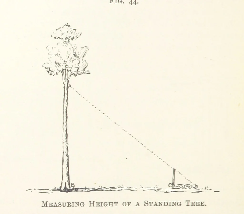 An illustration from Getting Gold. A practical treatise for prospectors, miners and students ... With illustrations, 1897, leaf 176