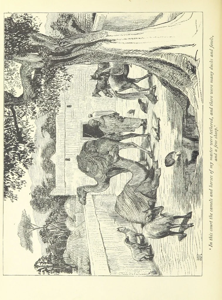 An illustration from The History of a Slave ... With ... illustrations ... from the author's drawings, 1889, leaf 150