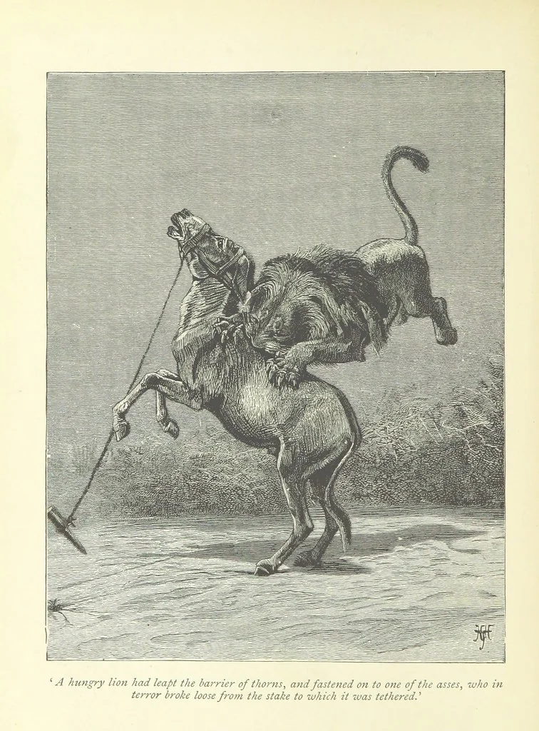 An illustration from The History of a Slave ... With ... illustrations ... from the author's drawings, 1889, leaf 178