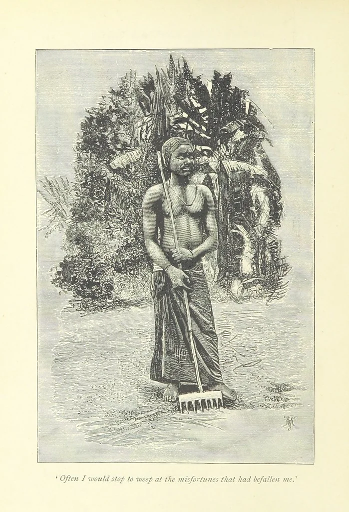An illustration from The History of a Slave ... With ... illustrations ... from the author's drawings, 1889, leaf 188
