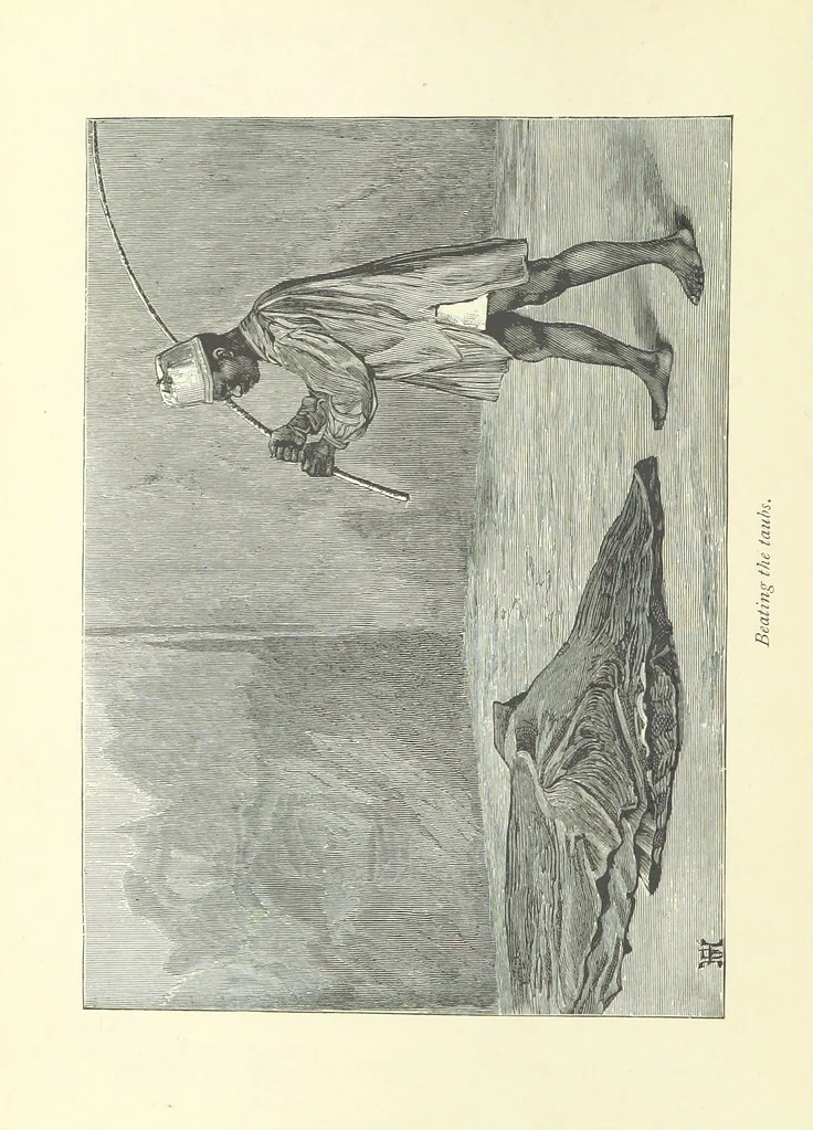An illustration from The History of a Slave ... With ... illustrations ... from the author's drawings, 1889, leaf 200