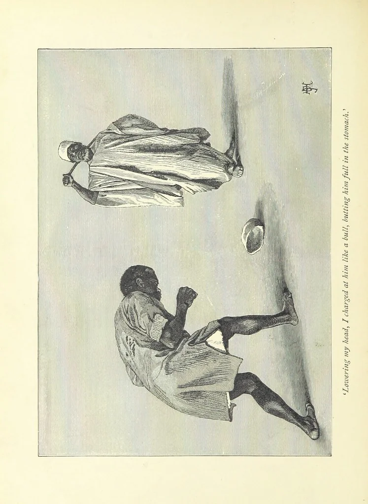 An illustration from The History of a Slave ... With ... illustrations ... from the author's drawings, 1889, leaf 206