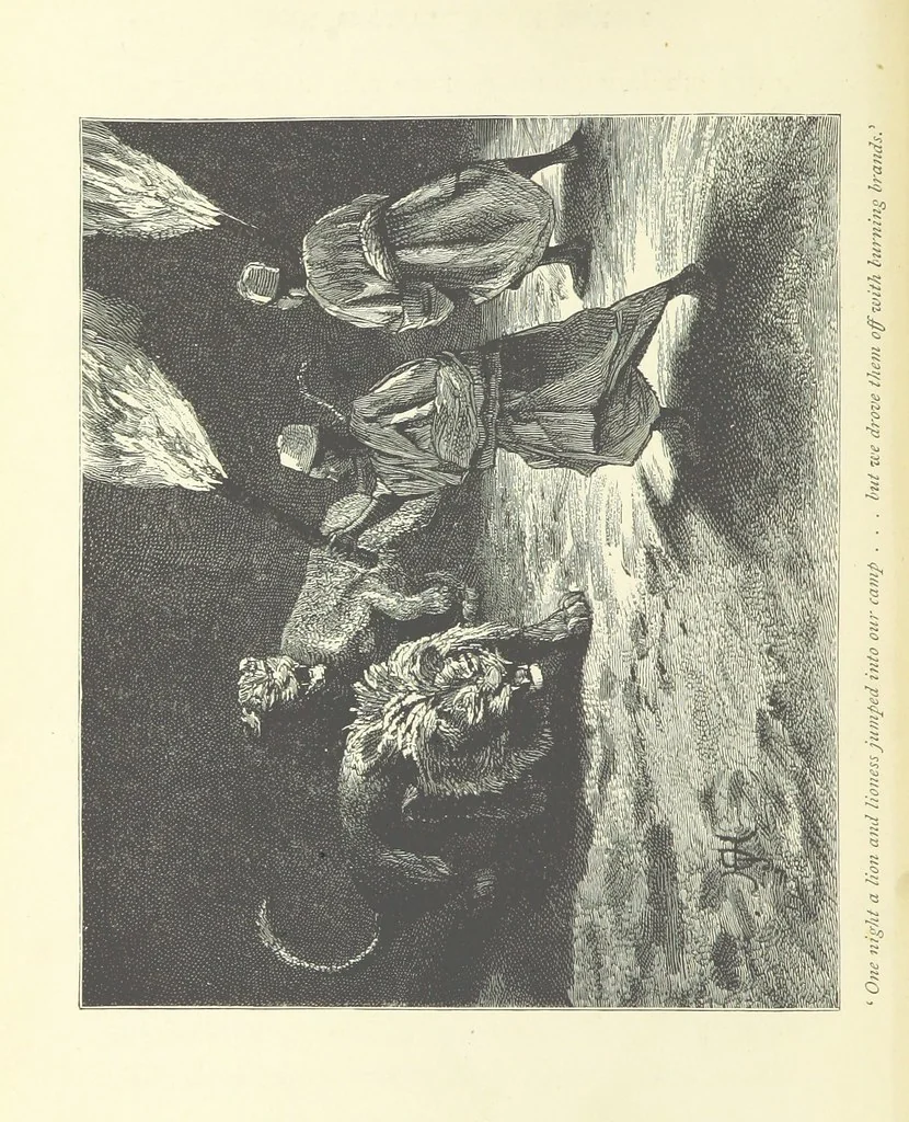 An illustration from The History of a Slave ... With ... illustrations ... from the author's drawings, 1889, leaf 222