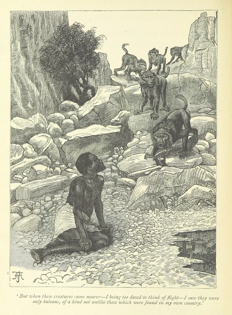 An illustration from The History of a Slave ... With ... illustrations ... from the author's drawings, 1889, leaf 254