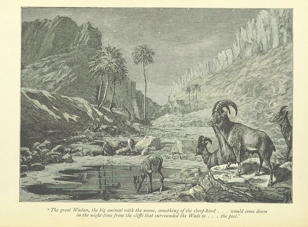 An illustration from The History of a Slave ... With ... illustrations ... from the author's drawings, 1889, leaf 266