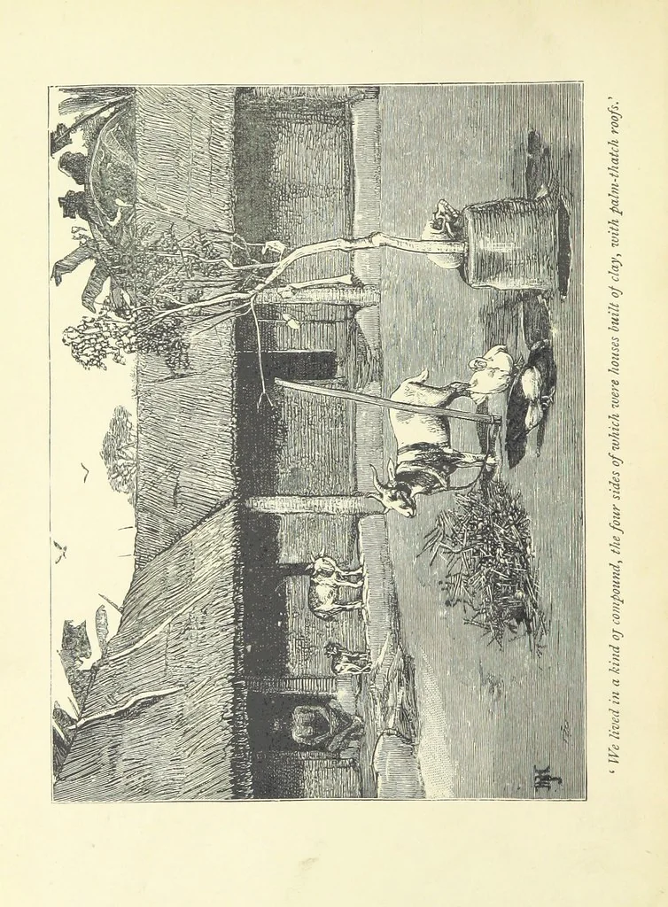 An illustration from The History of a Slave ... With ... illustrations ... from the author's drawings, 1889, leaf 28