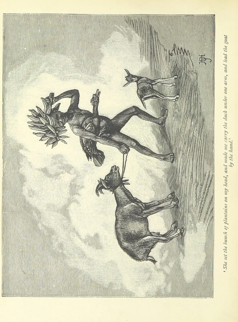 An illustration from The History of a Slave ... With ... illustrations ... from the author's drawings, 1889, leaf 66