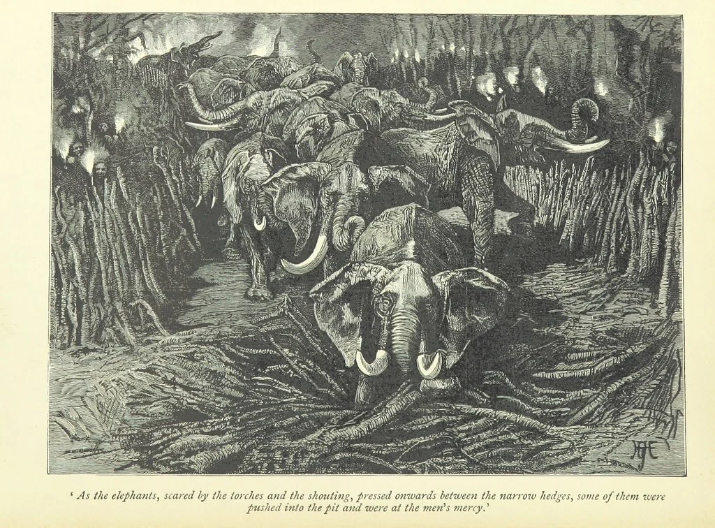 An illustration from The History of a Slave ... With ... illustrations ... from the author's drawings, 1889, leaf 96