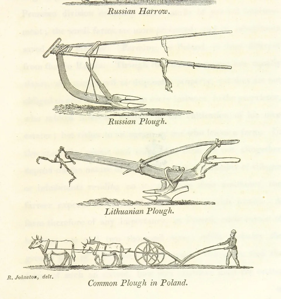 An illustration from Travels through part of the Russian Empire and the County of Poland, along the southern shores of the Baltic, 1815, leaf 509