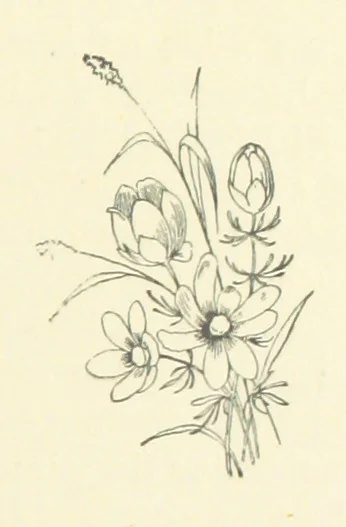An illustration from The Brotherhood of the Coast. [A romance, 1895, leaf 163