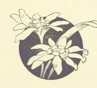 An illustration from The Brotherhood of the Coast. [A romance, 1895, leaf 283