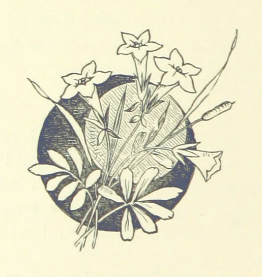 An illustration from The Brotherhood of the Coast. [A romance, 1895, leaf 296
