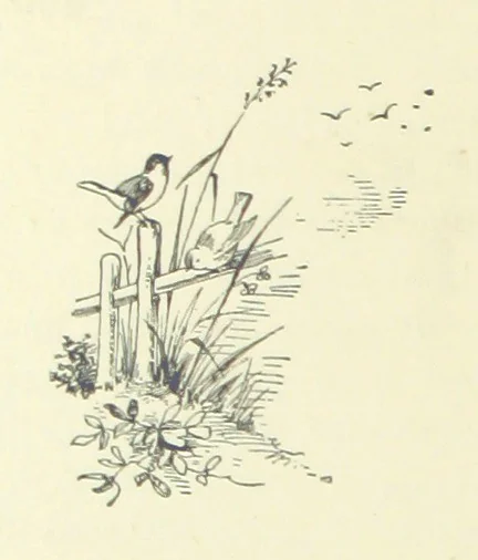 An illustration from The Brotherhood of the Coast. [A romance, 1895, leaf 328