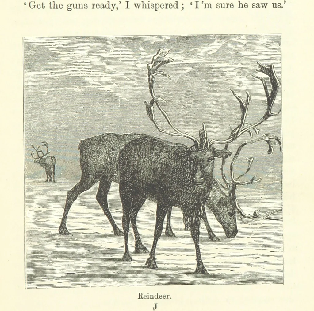 An illustration from The Paradise of the North ... With ... illustrations, etc, 1892, leaf 149