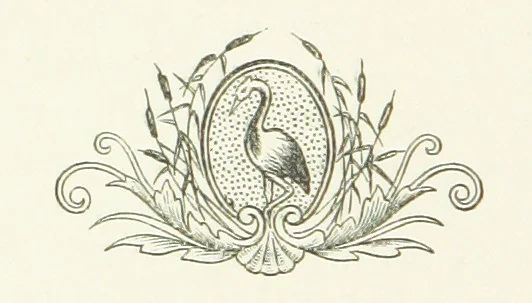 An illustration from The Paradise of the North ... With ... illustrations, etc, 1892, leaf 276