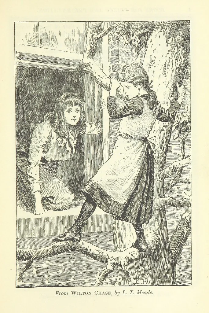 An illustration from The Paradise of the North ... With ... illustrations, etc, 1892, leaf 311