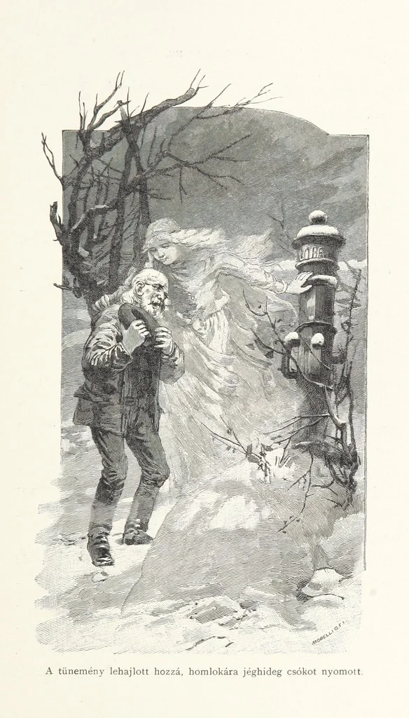 An illustration from Csataképek a magyar szabadságharczból ... Kimnach László rajzai után készült fametszetekkel. Hatodik illusztrált díszkiadás, 1899, leaf 157
