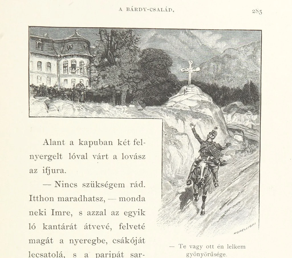 An illustration from Csataképek a magyar szabadságharczból ... Kimnach László rajzai után készült fametszetekkel. Hatodik illusztrált díszkiadás, 1899, leaf 313