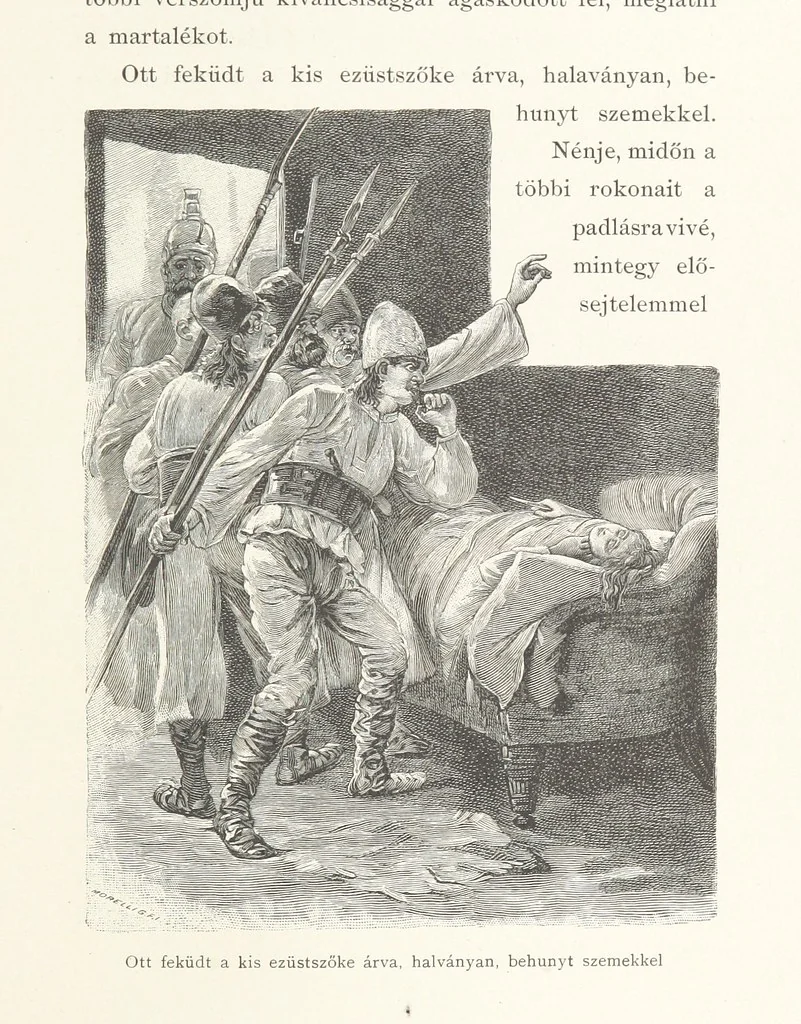 An illustration from Csataképek a magyar szabadságharczból ... Kimnach László rajzai után készült fametszetekkel. Hatodik illusztrált díszkiadás, 1899, leaf 349