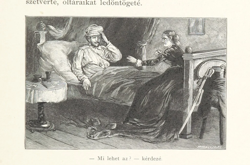 An illustration from Csataképek a magyar szabadságharczból ... Kimnach László rajzai után készült fametszetekkel. Hatodik illusztrált díszkiadás, 1899, leaf 455