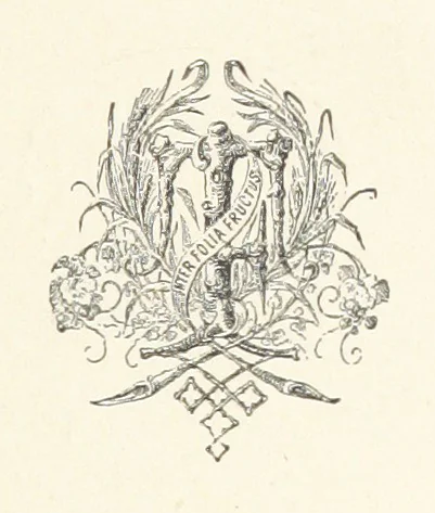 An illustration from Csataképek a magyar szabadságharczból ... Kimnach László rajzai után készült fametszetekkel. Hatodik illusztrált díszkiadás, 1899, leaf 5