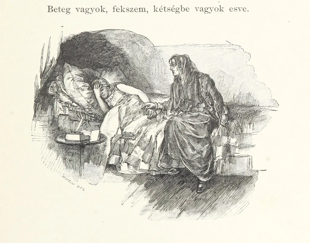 An illustration from Csataképek a magyar szabadságharczból ... Kimnach László rajzai után készült fametszetekkel. Hatodik illusztrált díszkiadás, 1899, leaf 73