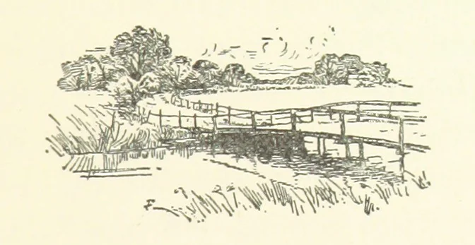 An illustration from A Woman's Word. [A tale, 1892, leaf 81