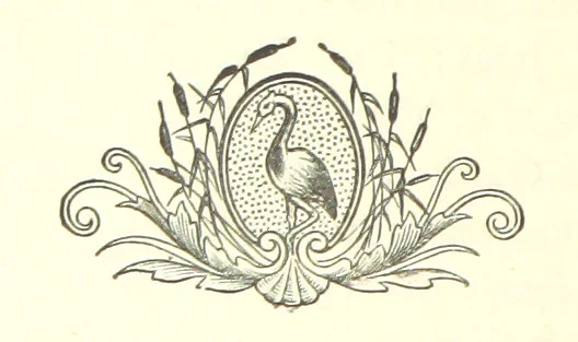 An illustration from A History of the parish of Tettenhall, in the county of Stafford. [With plates, 1894, leaf 336