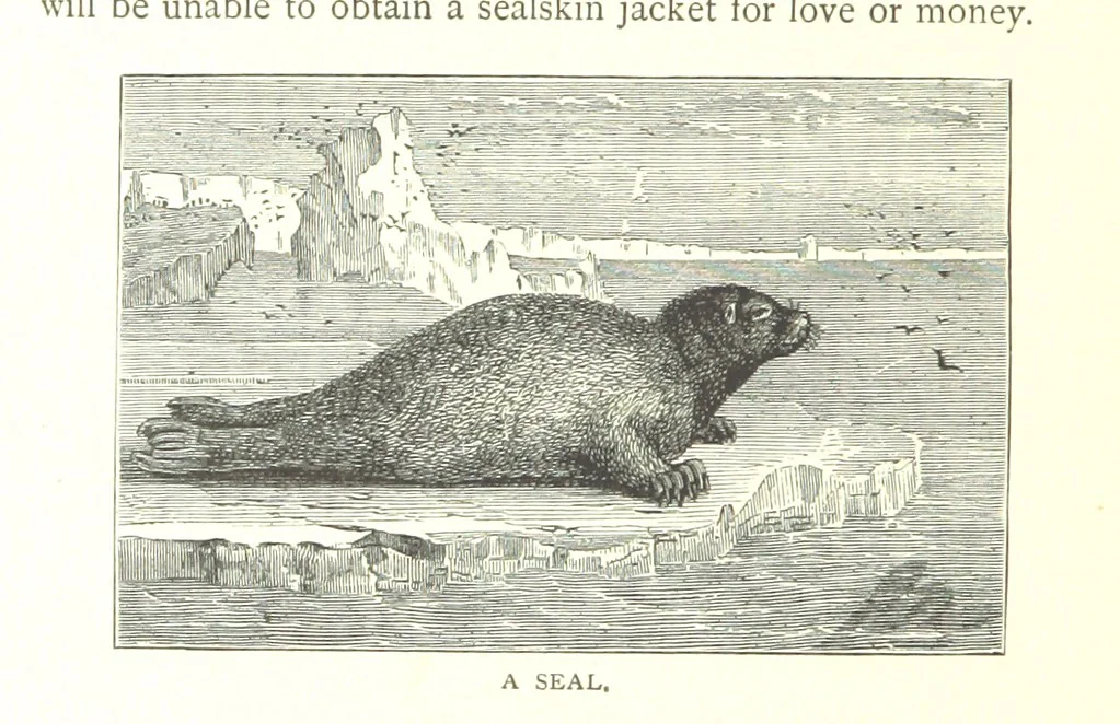An illustration from Ships, Sailors, and the Sea, etc, 1887, leaf 256