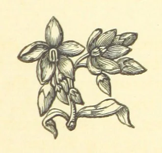 An illustration from The works of Ben Jonson. With a biographical memoir, by William Gifford. A new edition, 1875, leaf 193