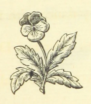 An illustration from The works of Ben Jonson. With a biographical memoir, by William Gifford. A new edition, 1875, leaf 255