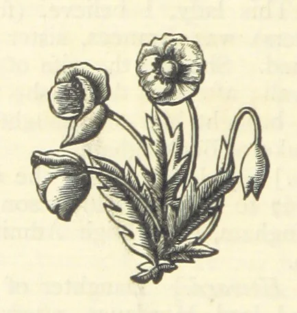 An illustration from The works of Ben Jonson. With a biographical memoir, by William Gifford. A new edition, 1875, leaf 32