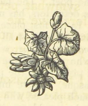 An illustration from The works of Ben Jonson. With a biographical memoir, by William Gifford. A new edition, 1875, leaf 328