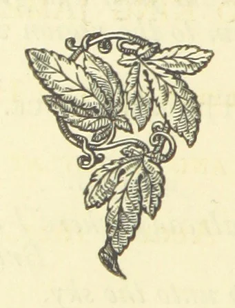 An illustration from The works of Ben Jonson. With a biographical memoir, by William Gifford. A new edition, 1875, leaf 360