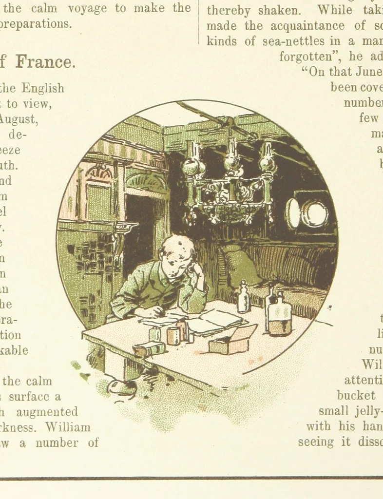 An illustration from A Journey round the World. With illustrations by C. Marr, 1888, leaf 10