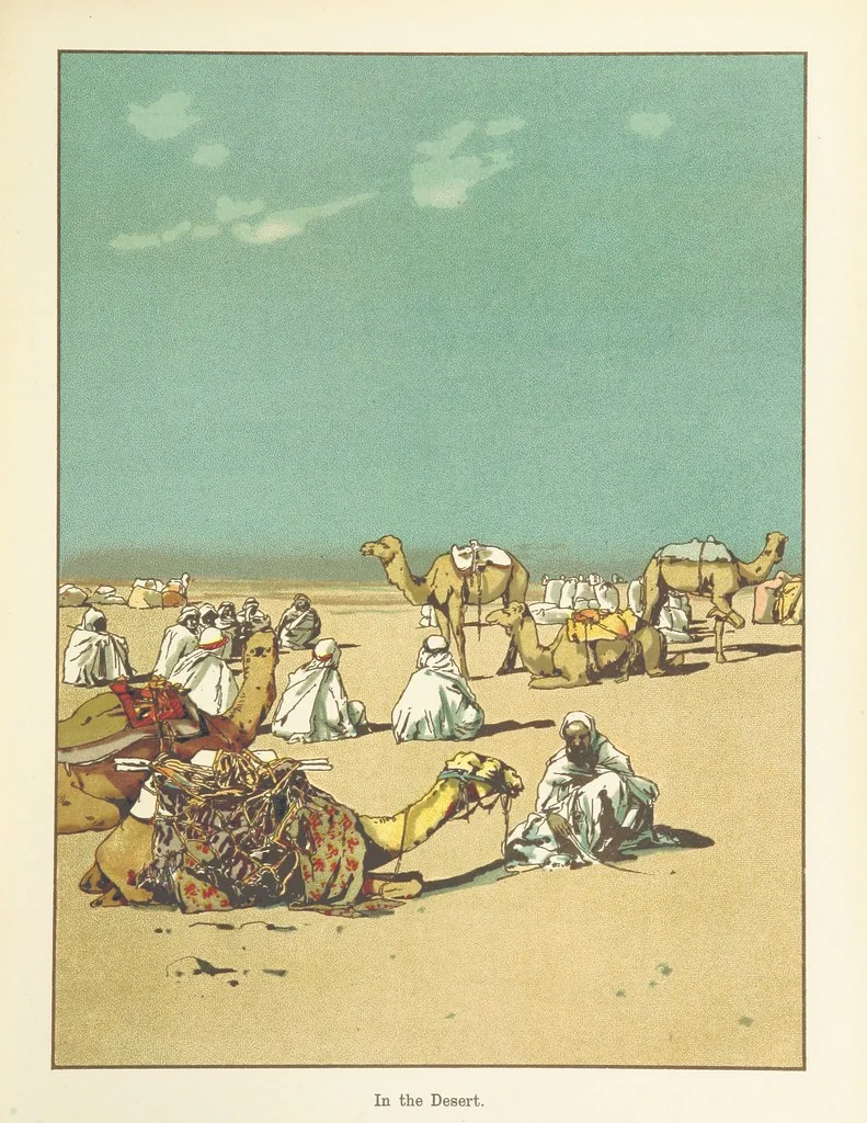 An illustration from A Journey round the World. With illustrations by C. Marr, 1888, leaf 17