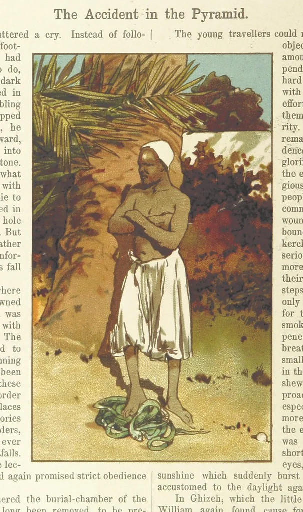 An illustration from A Journey round the World. With illustrations by C. Marr, 1888, leaf 20