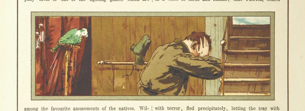 An illustration from A Journey round the World. With illustrations by C. Marr, 1888, leaf 28