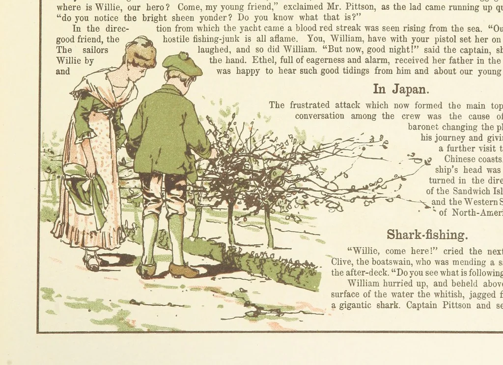 An illustration from A Journey round the World. With illustrations by C. Marr, 1888, leaf 31