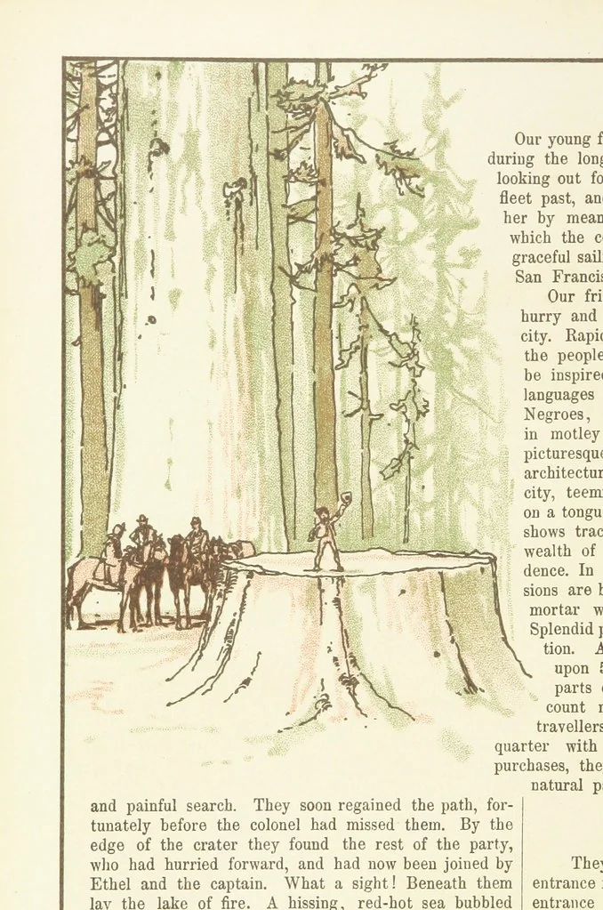 An illustration from A Journey round the World. With illustrations by C. Marr, 1888, leaf 34