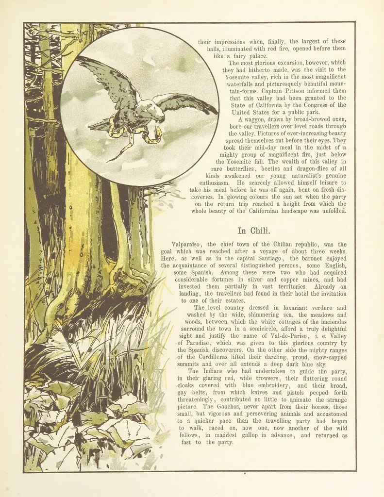 An illustration from A Journey round the World. With illustrations by C. Marr, 1888, leaf 35