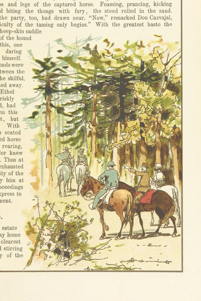 An illustration from A Journey round the World. With illustrations by C. Marr, 1888, leaf 37