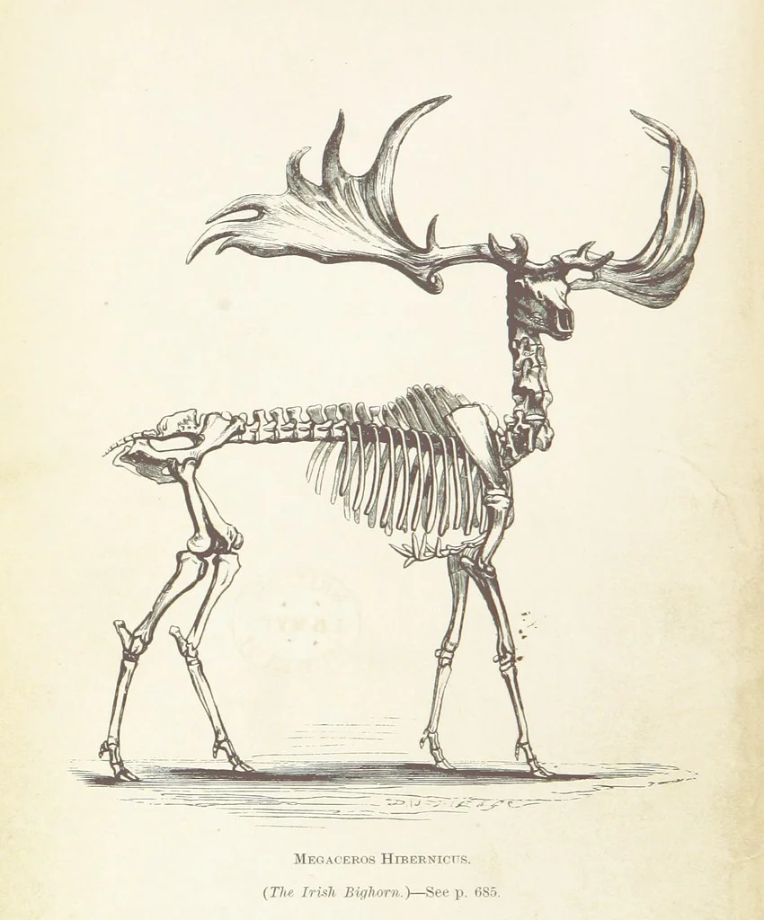 An illustration from The Student's Manual of Geology, 1862, leaf 10
